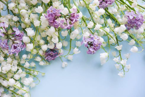 THE CHANÊL SOAP BAR